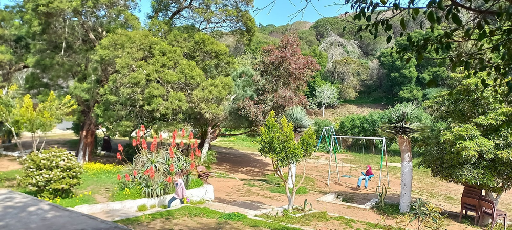 Café/Restaurant Rmilat