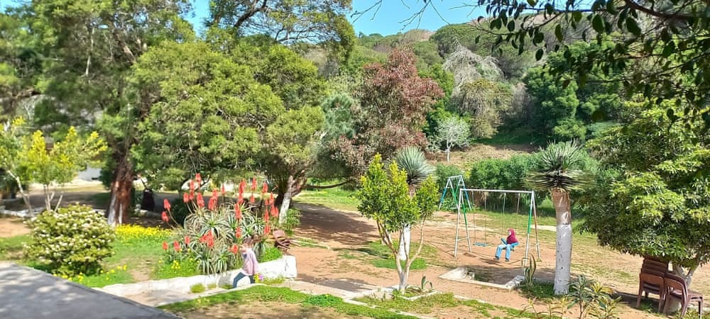 Кафе/ресторан Rmilat