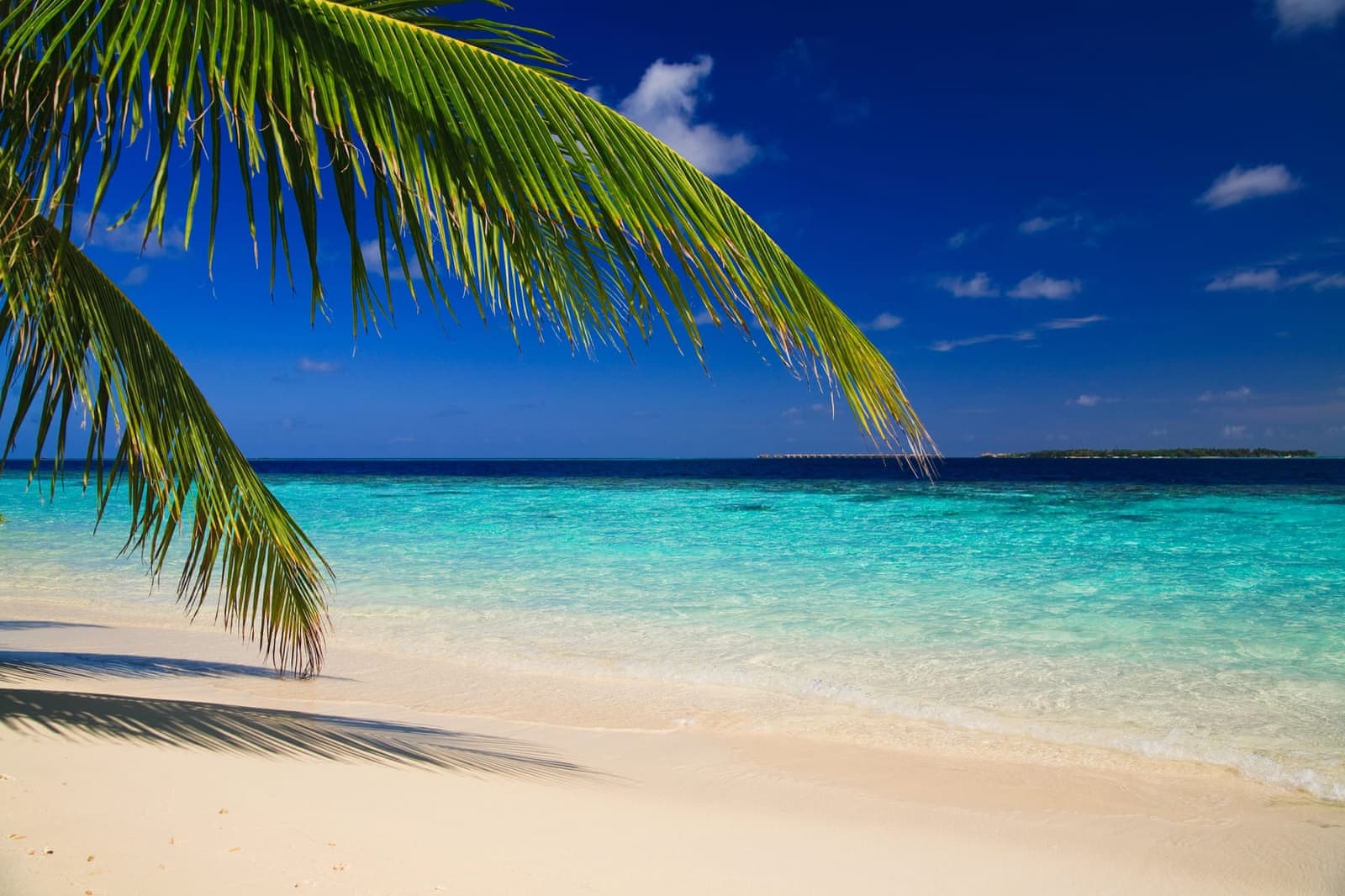 What to see in the Maldives?